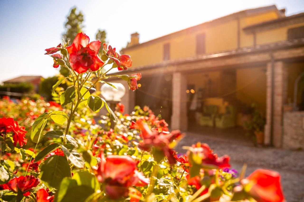 Il Podere Del Germano Reale Coriano