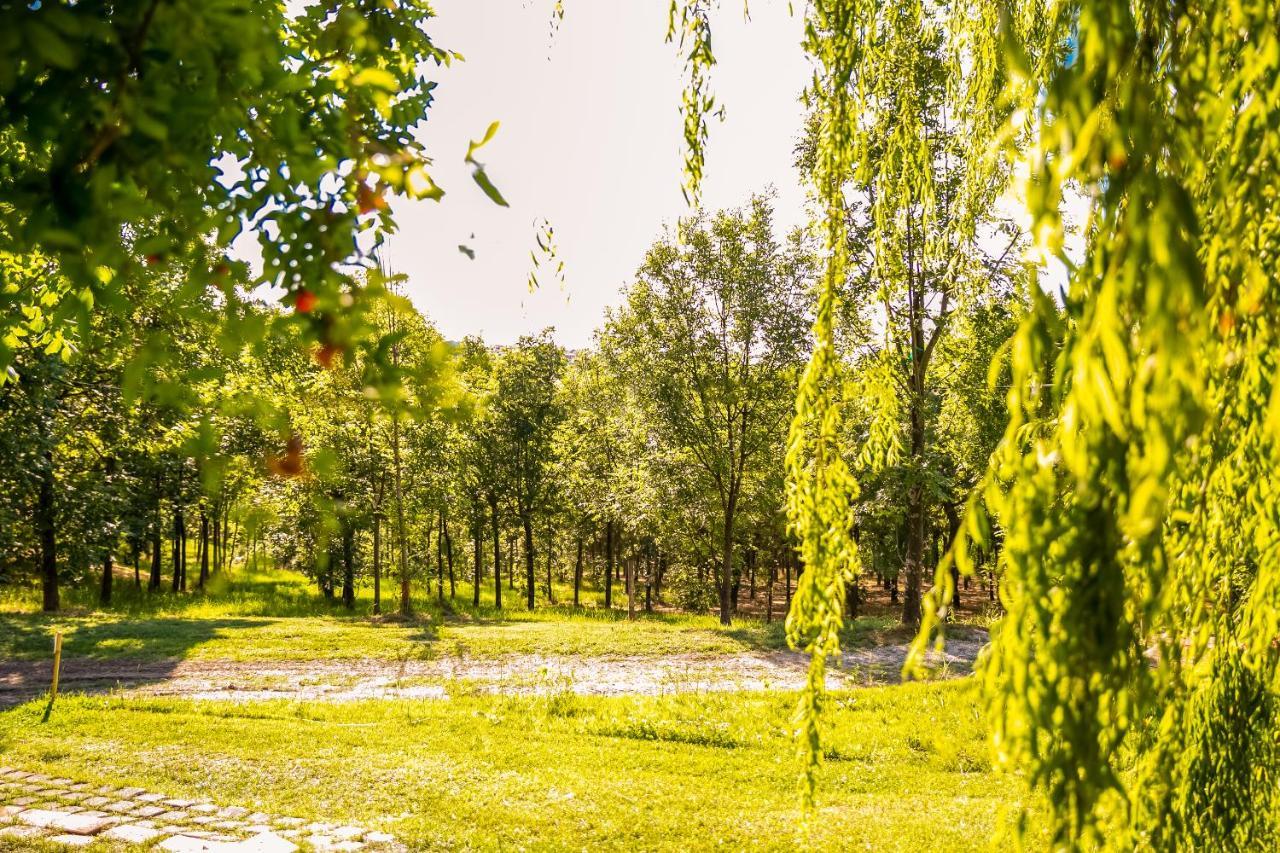 Il Podere Del Germano Reale