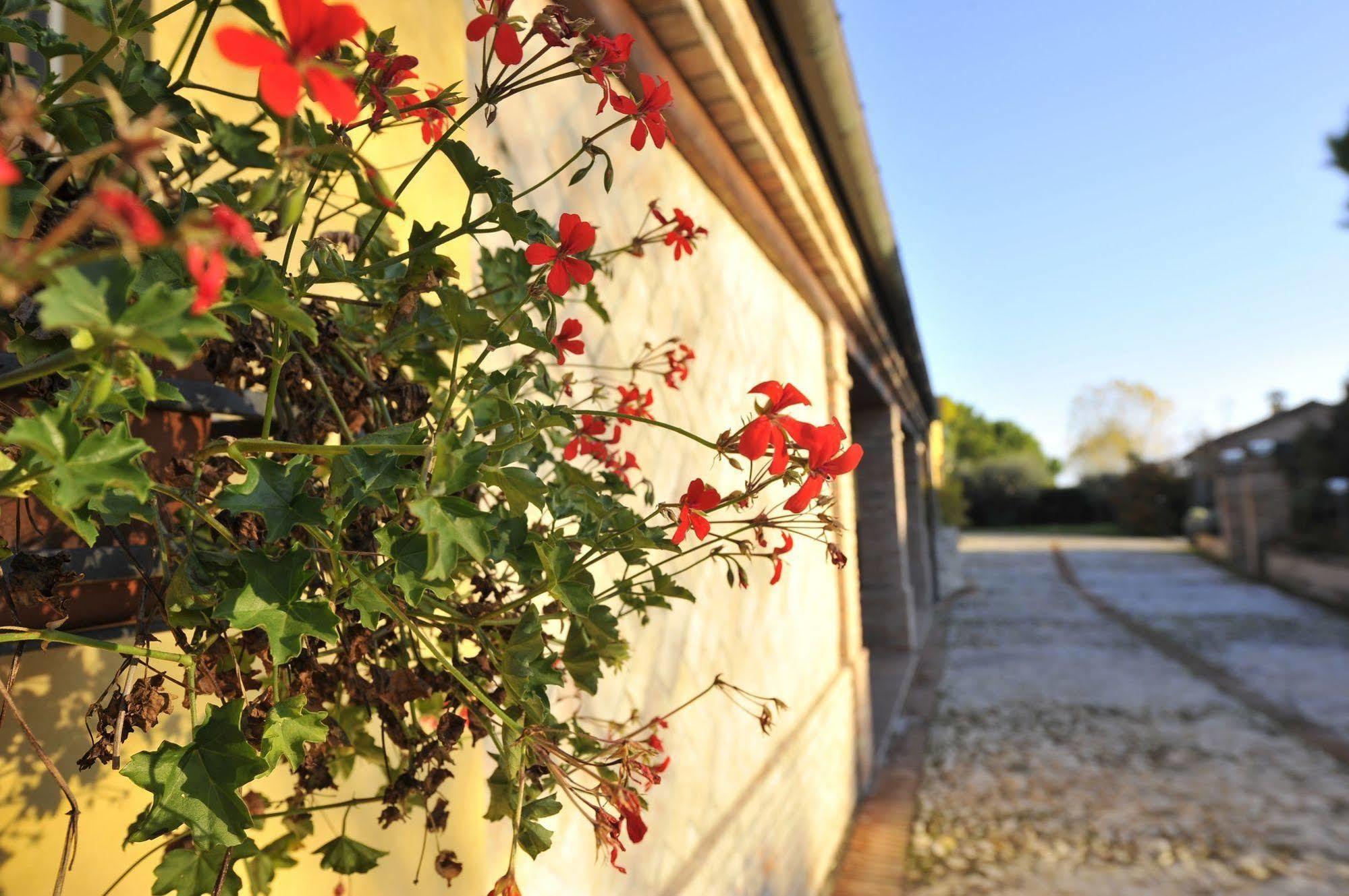 Il Podere Del Germano Reale Hotel 4*