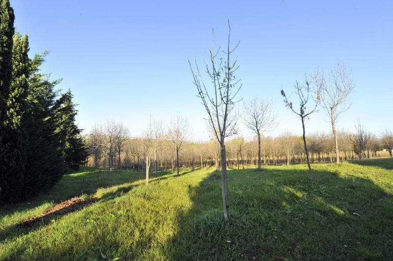 Il Podere Del Germano Reale 4*